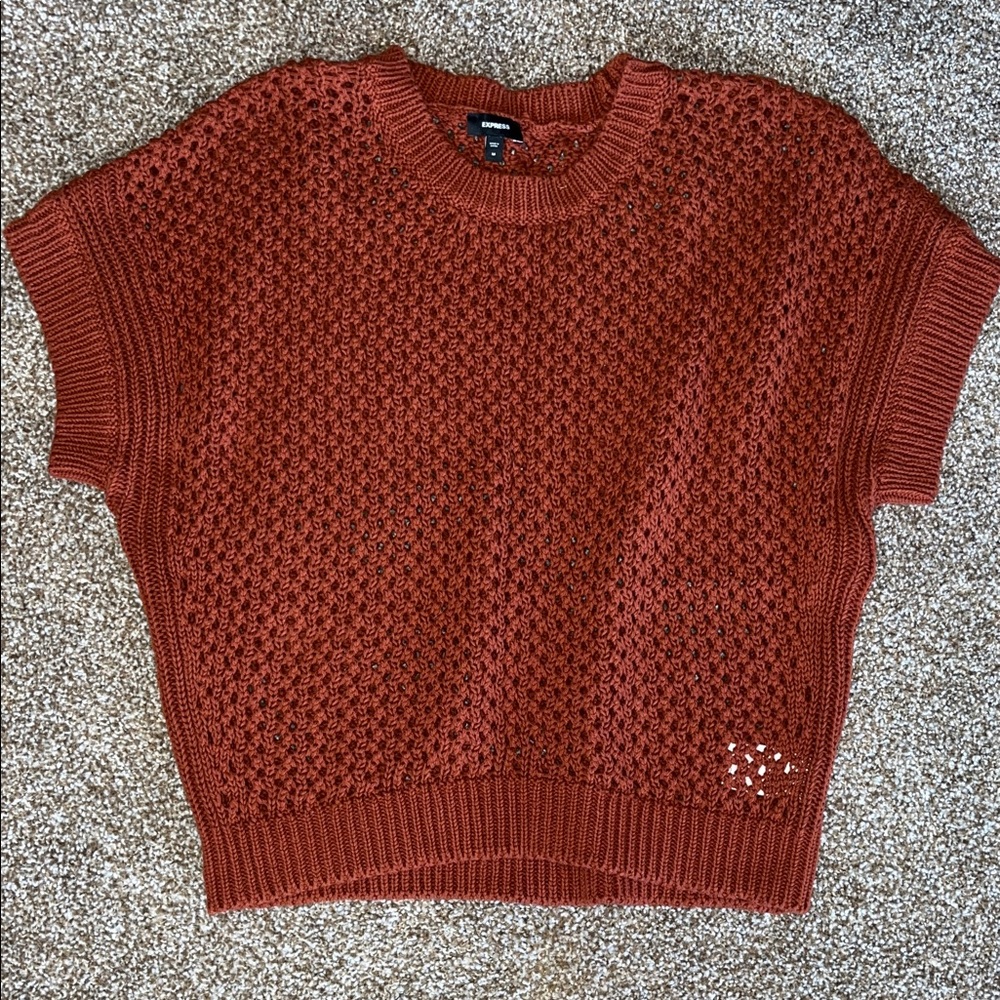 Express Rust Knit Sweater